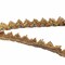 9.8 Yard Shiny Beaded Lace Trim Sequins Ribbon Vintage Decorative Wedding DIY Craft Sewing Fabric (Gold)